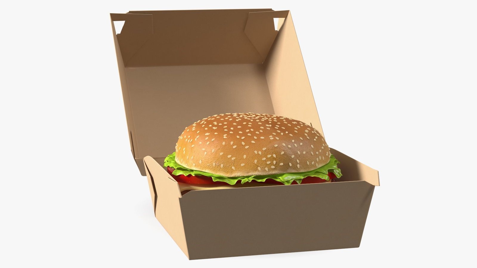 Customize Eco-Friendly Burger Box - Image 5